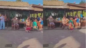 Vídeo: Criança de 4 anos é atacada por cão durante apresentação cultural em Florianópolis