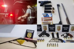 ‘Difron Segura’: operação resulta em prejuízo de R$ 250 mil ao crime no Oeste de SC