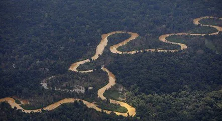 Ataque a tiros em aldeia yanomami mata criança e deixa cinco feridos