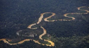 Ataque a tiros em aldeia yanomami mata criança e deixa cinco feridos