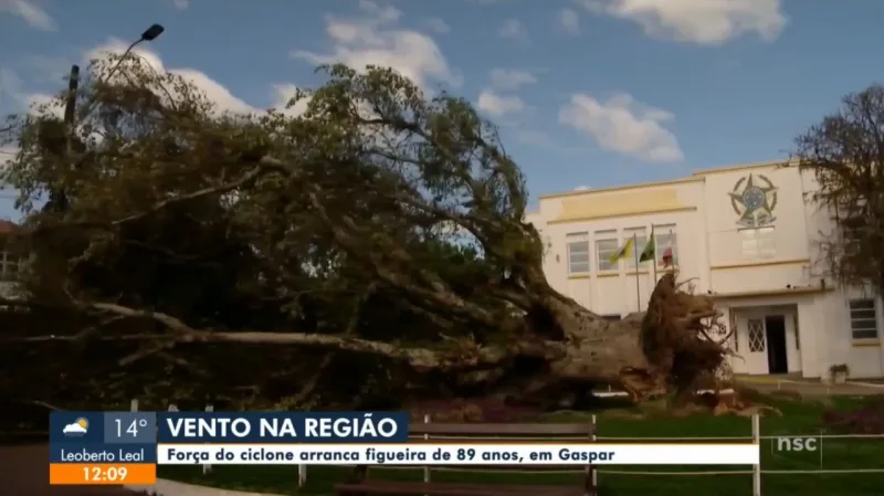 Ciclone: Sede Nova decreta calamidade pública e outros sete declaram emergência; entenda a diferença