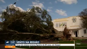 Ciclone: Sede Nova decreta calamidade pública e outros sete declaram emergência; entenda a diferença