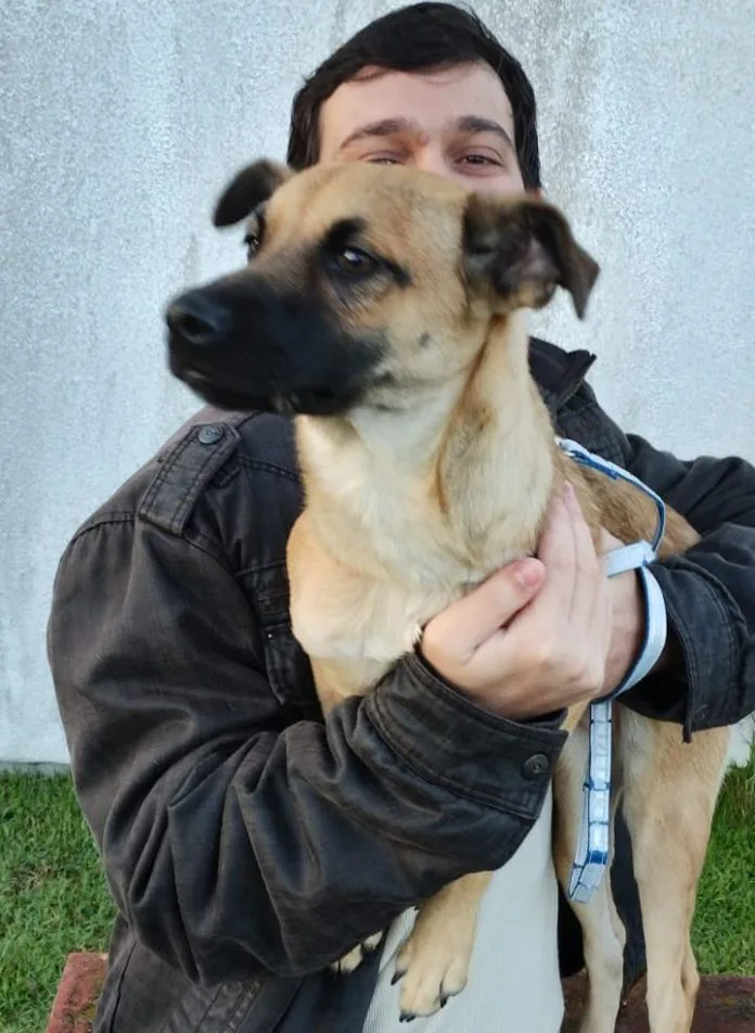 BusCão castra 28 animais no bairro Vila Nova