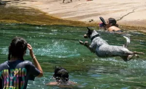 Brutais ondas de calor assolam o Hemisfério Norte; temperaturas podem beirar os 50°C