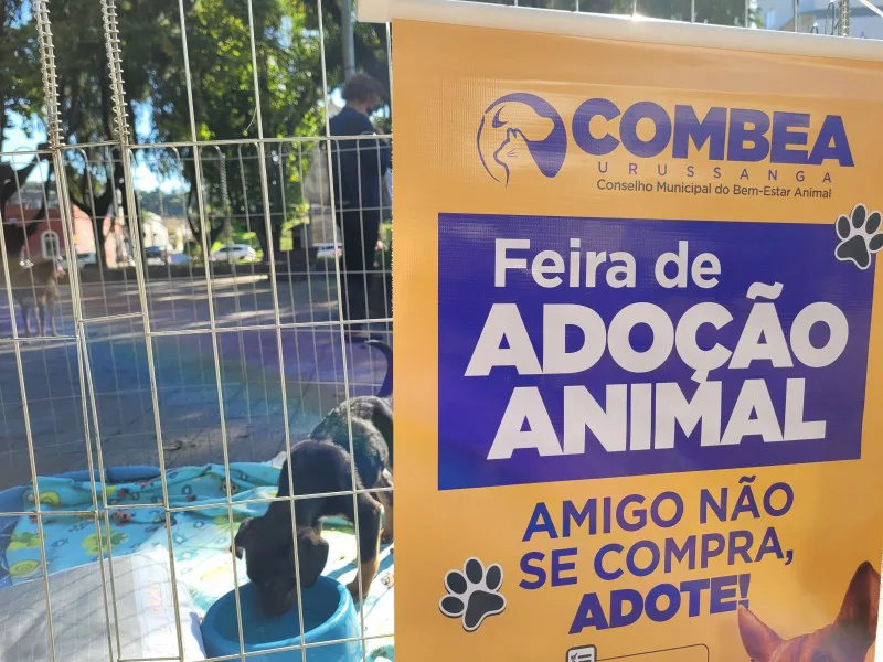 Sábado é dia de Feira de Adoção Animal em Urussanga