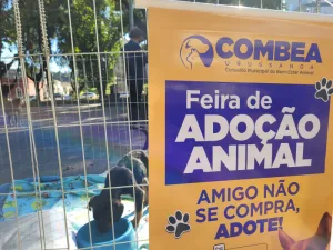 Sábado é dia de Feira de Adoção Animal em Urussanga