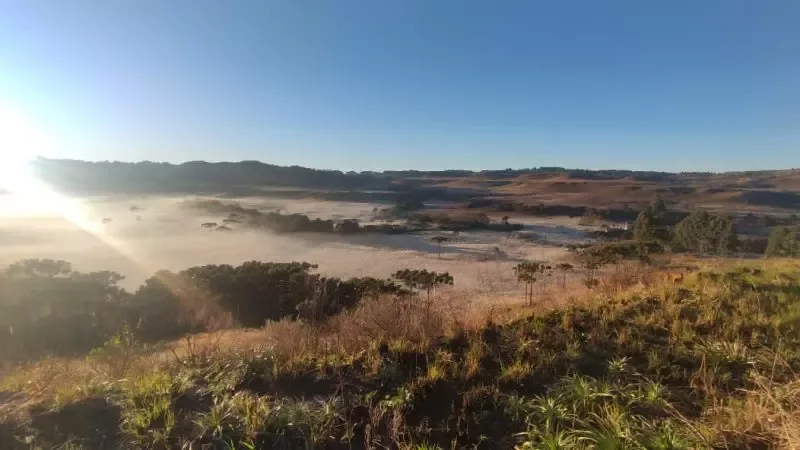 Geadas pintaram de branco a paisagem em São Joaquim na manhã desta segunda-feira; confira