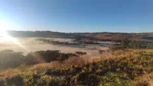 Geadas pintaram de branco a paisagem em São Joaquim na manhã desta segunda-feira; confira