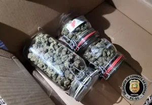 Saiba quem é o lutador famoso de MMA preso por suspeita de tráfico de drogas em Florianópolis