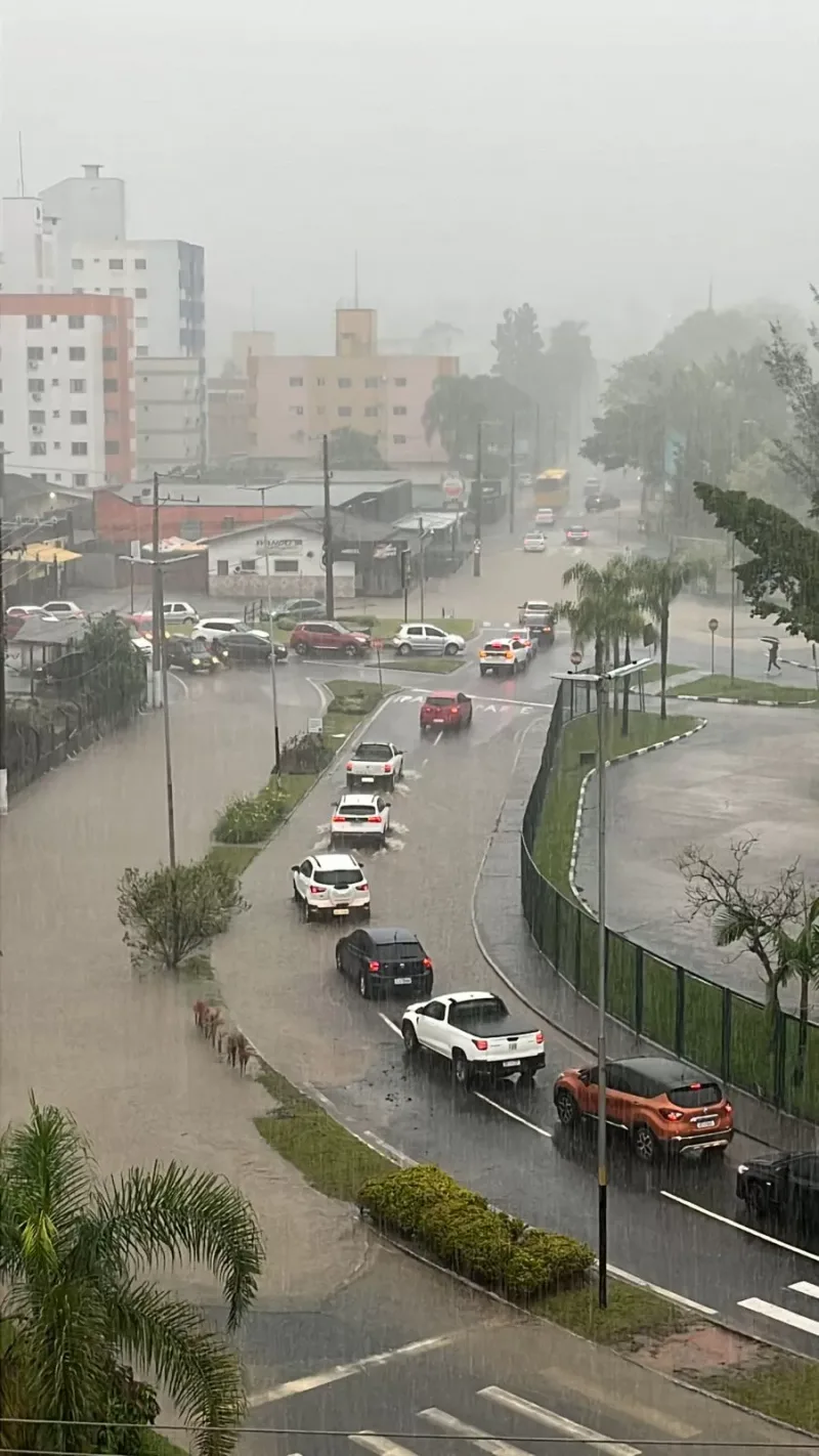 Imagens mostram resultado da chuva em Criciúma e região