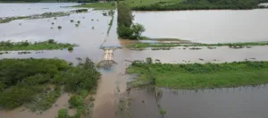 Chuvas trazem prejuízo de quase R$ 40 milhões para agricultura de Içara