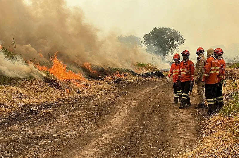 Queimadas no Pantanal triplicam em 2023 na comparação com 2022
