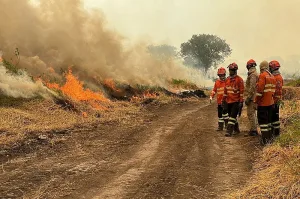 Queimadas no Pantanal triplicam em 2023 na comparação com 2022