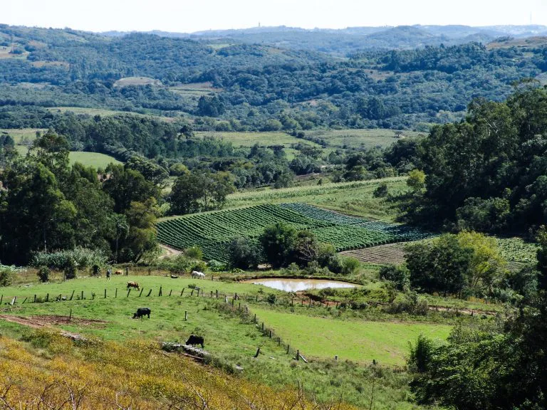 Tribunal de Justiça de Santa Catarina lança o Programa “Lar Legal Rural” para regularização de terras