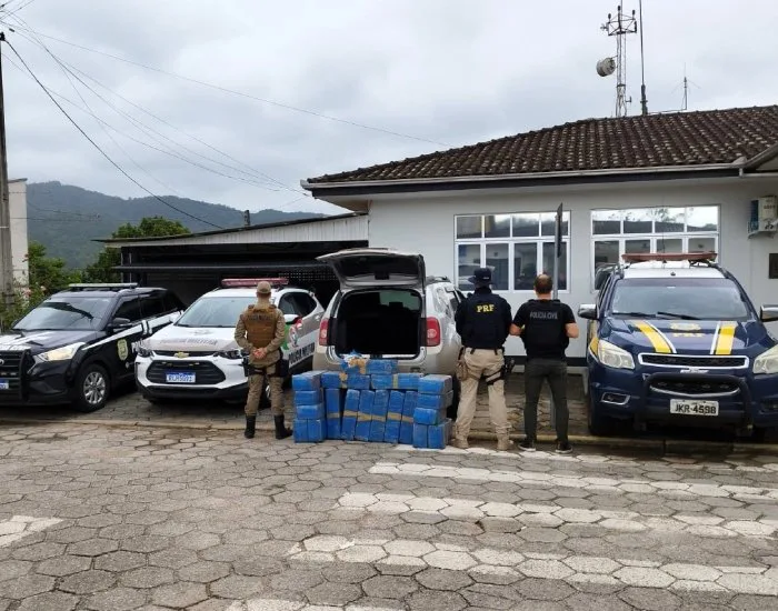 Operação policial apreende mais de 300 kg de maconha