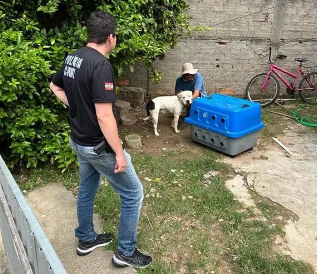 Ação conjunta flagra cão em situação de maus-tratos e tutor é preso