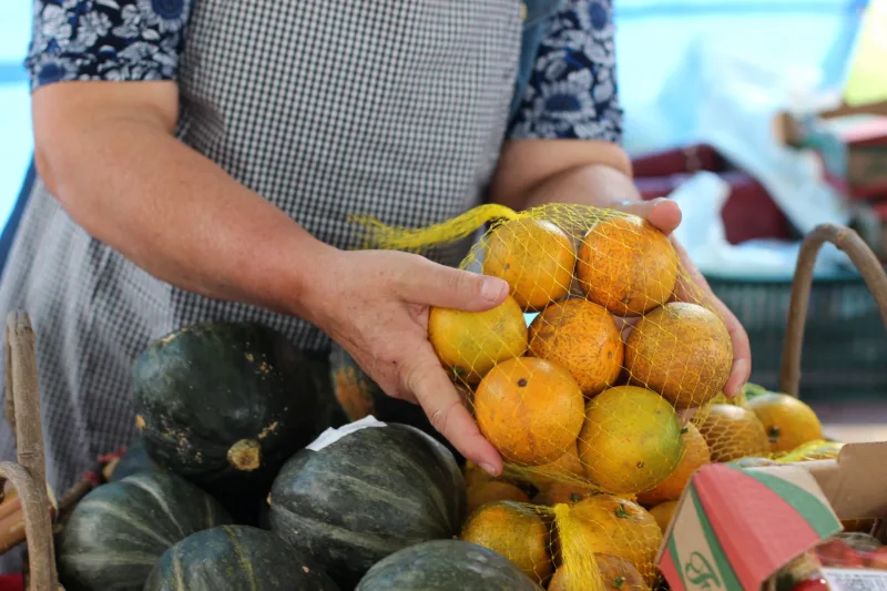 Feira da Agricultura Familiar retoma atividades nesta quinta-feira em Criciúma