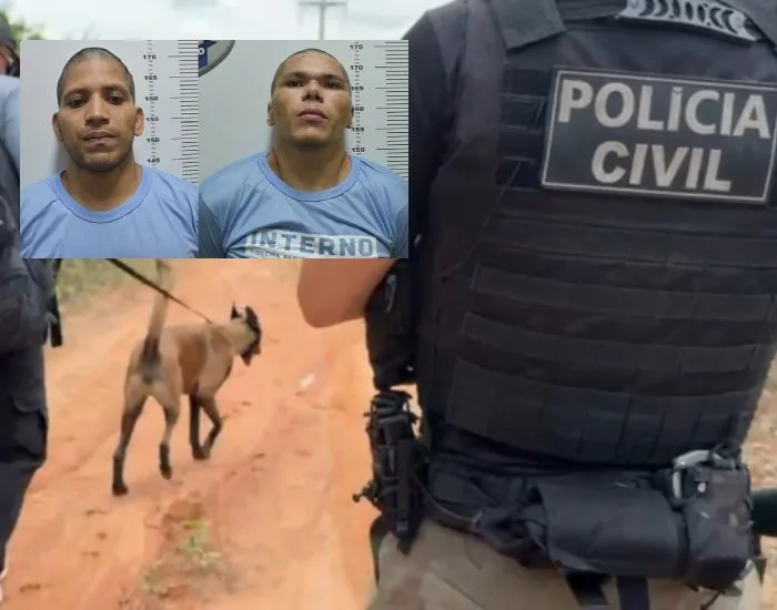Fugitivos de penitenciária federal invadem casa, fazem família refém, pedem para acessar redes e roubam celulares