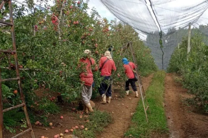 Ressocialização de apenados pelo trabalho na Serra se torna referência