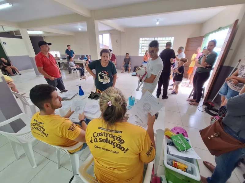 Governo de Criciúma castra 137 animais no bairro Cidade Mineira Velha