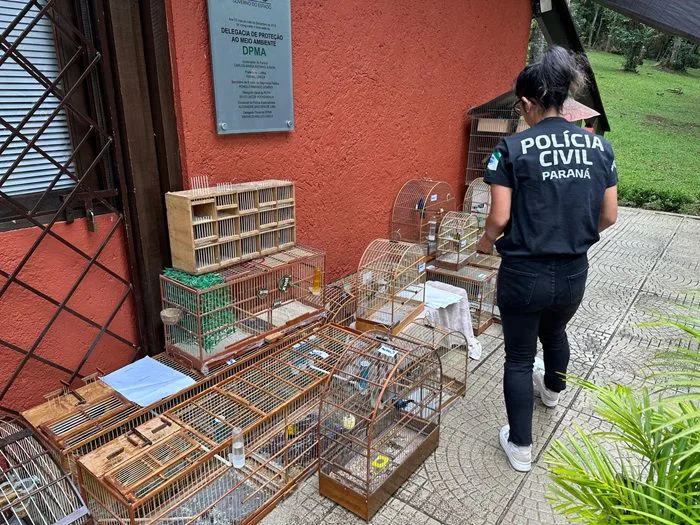 Quase 400 animais silvestres são apreendidos em megaoperação contra rede de tráfico internacional