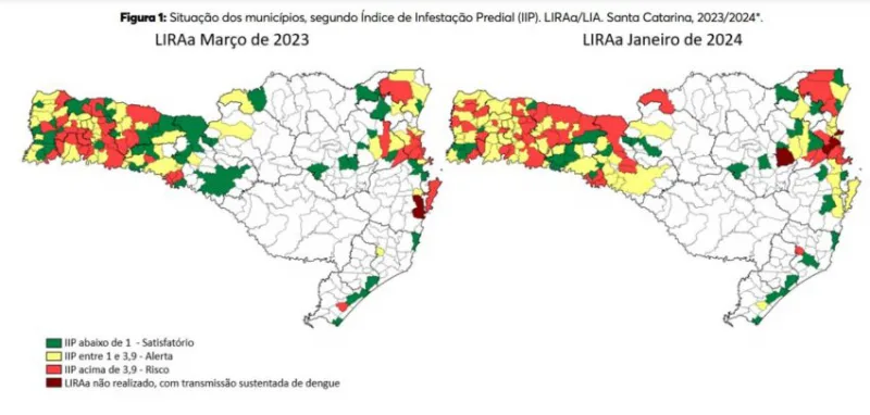 Dengue em SC: boletim revela que 47 municípios possuem alto risco de transmissão da doença