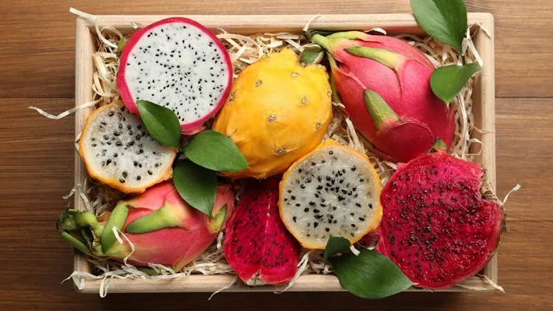 Criciúma recebe o terceiro Simpósio Brasileiro de Pitayas