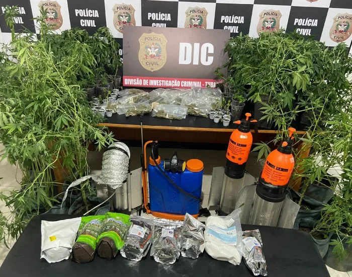 Operação policial localiza plantação de maconha e porções de skank no Sul de SC