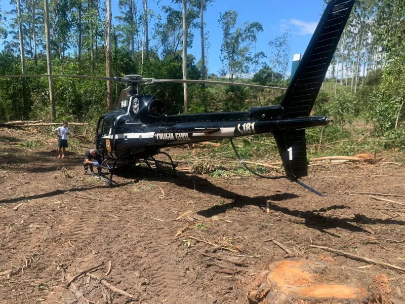 SARASUL ACIONADO: Queda de eucalipto deixa homem gravemente ferido