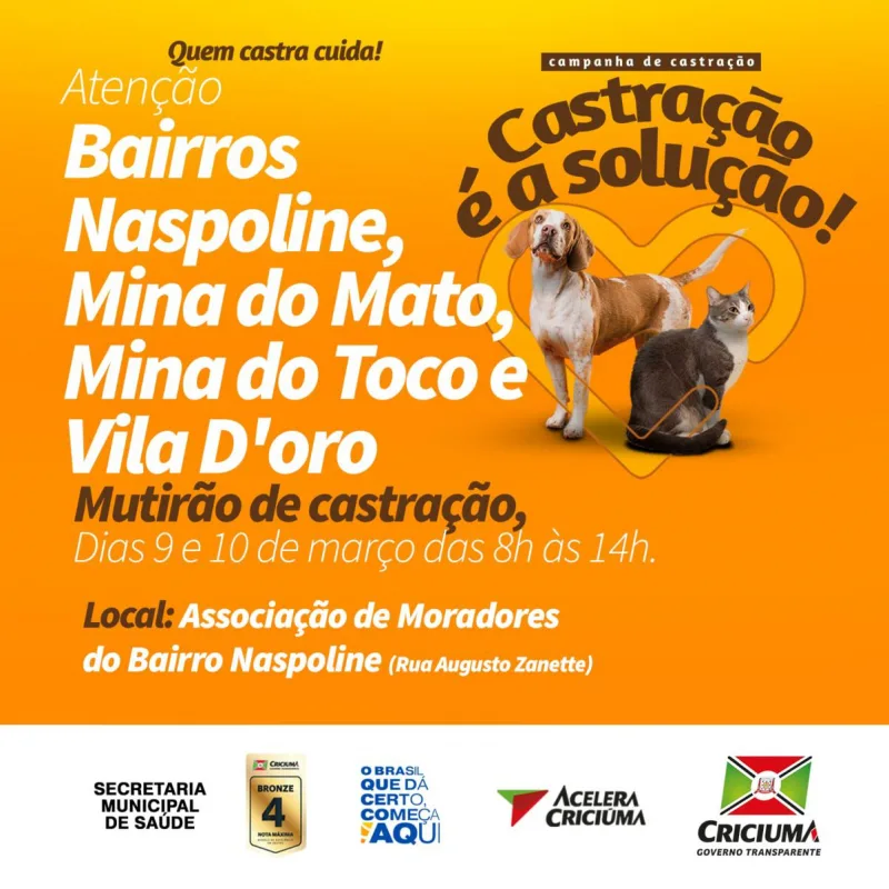 Mutirão da campanha “Castração é a Solução” beneficia quatro comunidades de Criciúma