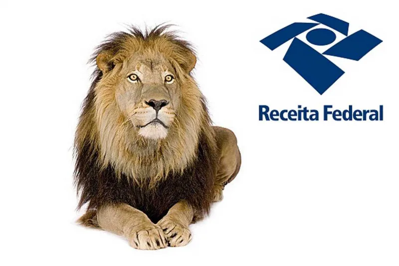 Imposto de Renda: saiba como declarar investimentos em ações