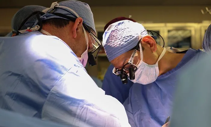 Médico brasileiro realiza primeiro transplante de rim de porco para humano nos Estados Unidos
