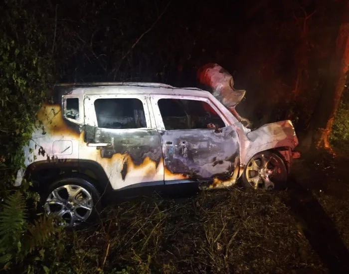 Mulher é resgatada de veículo em chamas por populares após colidir contra árvore
