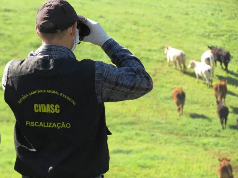 Cidasc tem programação especial no mês de maio voltada à saúde dos animais de produção e saúde vegetal