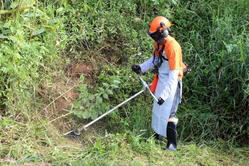 Prefeitura executa limpeza de terrenos baldios em Criciúma