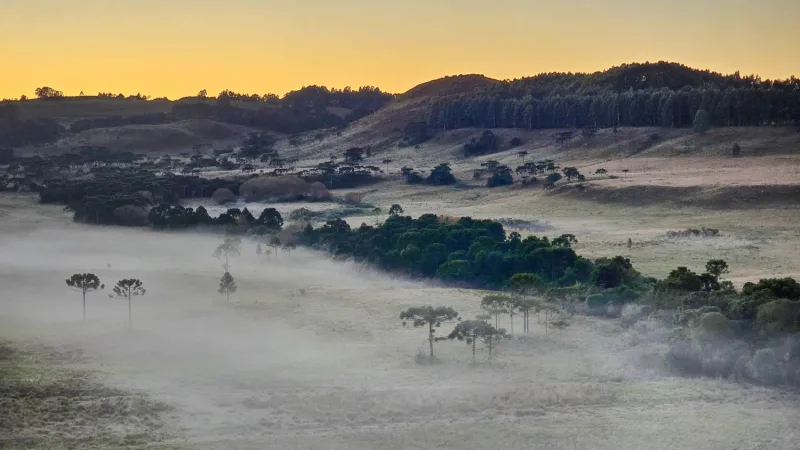 Mais uma manhã “abaixo de zero” e um espetáculo de gelo na Serra Catarinense
