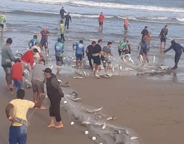 JAGUARUNA: Cerco da tainha rende mais de 2 toneladas a pescadores na Praia da Figueirinha