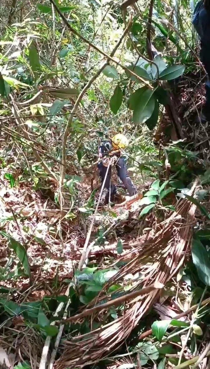 Cão é resgatado de barranco com desnível de 4 metros em Morro Grande