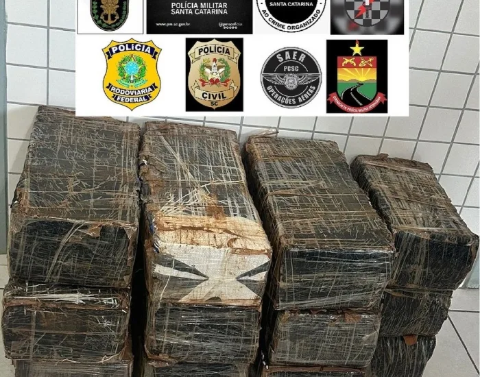Operação conjunta apreende mais de 200 kg de maconha em carro