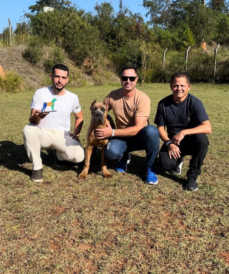 Cão de Araranguá conquista prêmio nacional em São Paulo