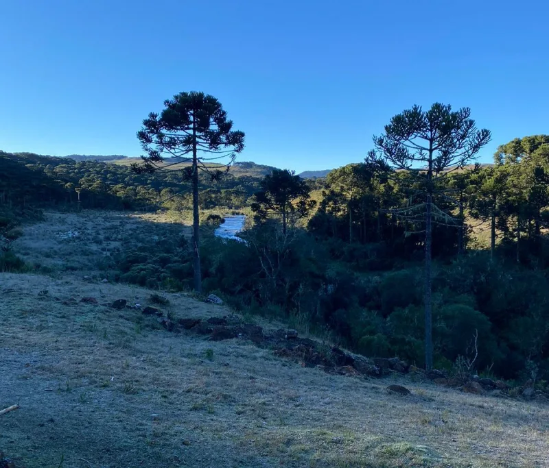 AMANHECER GELADO EM SC: Cidades de SC registram temperaturas de até -7,2°C