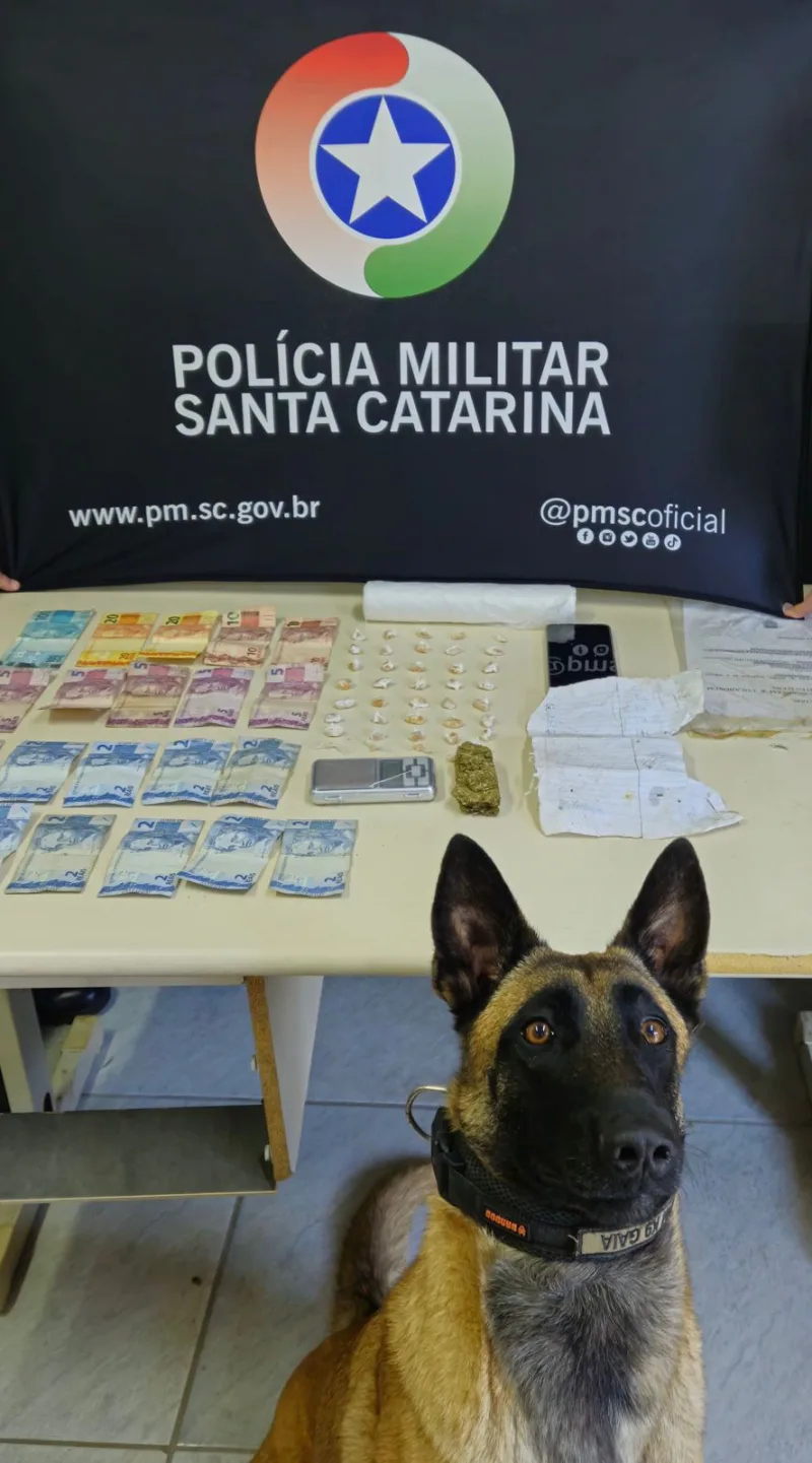 CÃO DA PM: Homem é preso em condomínio de Içara