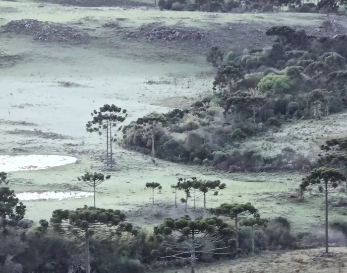 Sexta-feira amanhece com temperatura negativa na serra de SC; confira a previsão