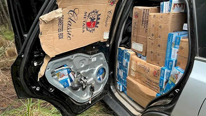 Cinquenta mil maços de cigarros contrabandeados são apreendidos em SC