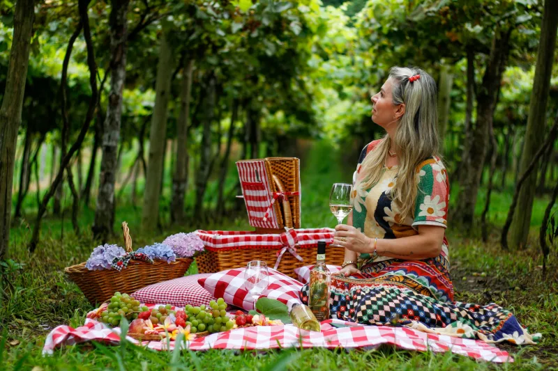Enoturismo: Vindima Goethe e Festival Benedetta Cucina de Urussanga juntos em 2025