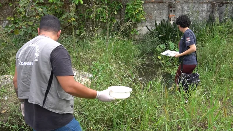 AVANÇO NOS CASOS DE DENGUE EM SC ACENDE O SINAL DE ALERTA