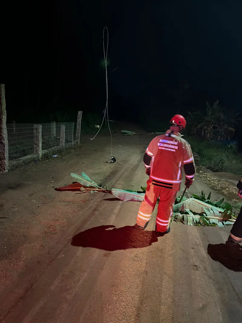 Chuva derruba fios de alta tensão e cão morre em Sangão