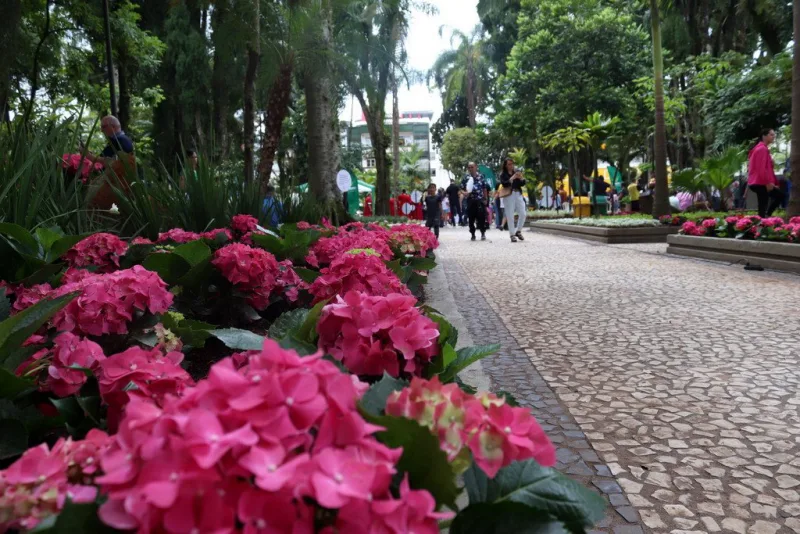 COMUNIDADE: Repaginação promovida pela Unesc na praça Nereu Ramos segue recebendo elogios