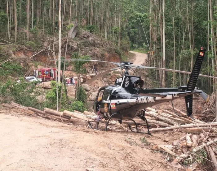 TREZE DE MAIO: Trabalhador é hospitalizado com graves ferimentos após ser atingido por árvore