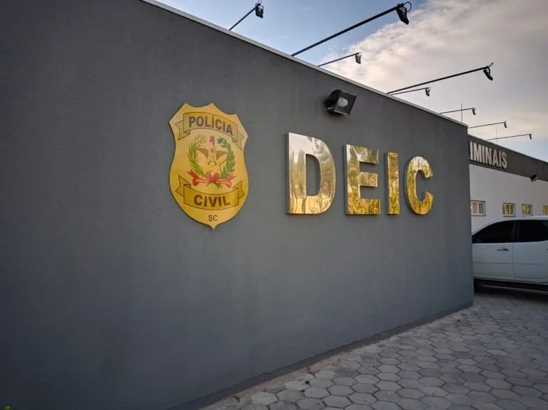 Retrospectiva 2024: Diretoria Estadual de Investigações Criminais da Polícia Civil fecha ano com 216 operações complexas realizadas